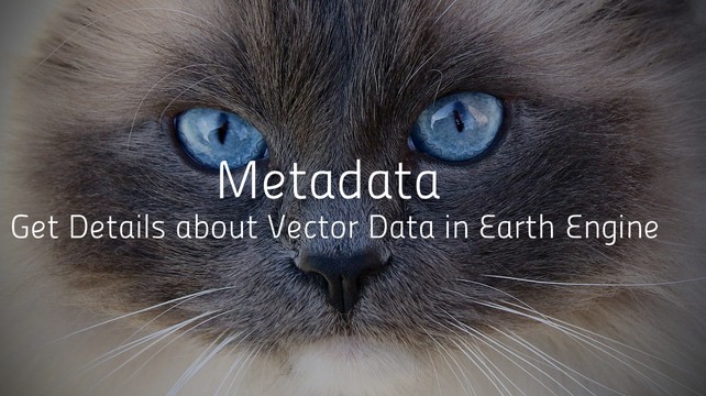 Metadata  - Get Details about Vector Data in Earth Engine